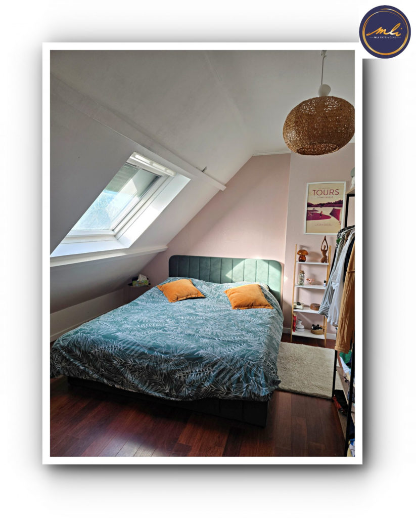 Maison avec vie de plain-pied + étage + sous/sol- 5 Chambres et jardin à 10 km de Tours.