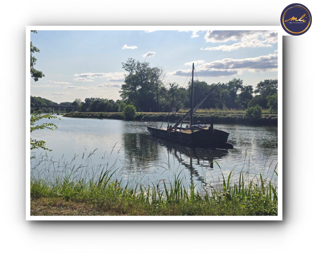 Maison avec vie de plain-pied + étage + sous/sol- 5 Chambres et jardin à 10 km de Tours.