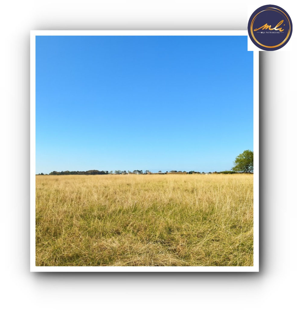 10 minutes de la MER -Ensemble immobilier avec MANOIR, maison annexe , grange et prairie